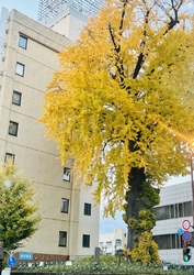 宇都宮もだいぶ...