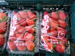 ちょうど入口を...