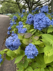 小高い丘の公園...