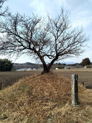 サーフさんの口...