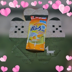 足利へ行ったの...