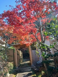 家族みんなが休...