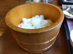 今日は、佐野市...