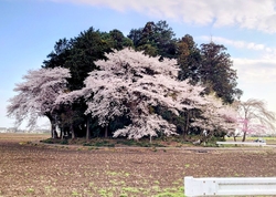以前に訪れた時...