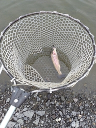 湯ノ湖での傷心...