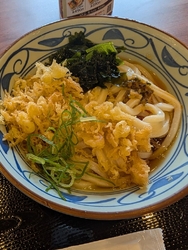 期間限定でサイ...