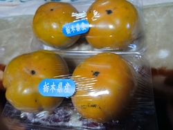 久しぶりに行っ...