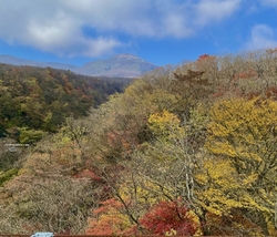 ツツジ吊橋の紅...