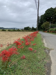 県道41号から...