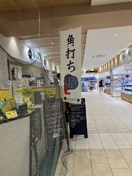 連日の夕立に疲...