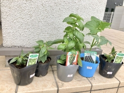 1ヶ月ほど前に...