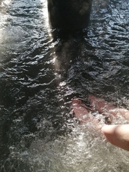 ランチ後に立ち...