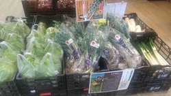 白菜やネギがお...