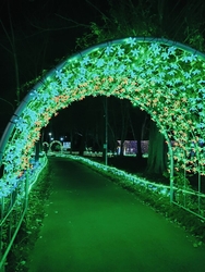 イルミネーショ...