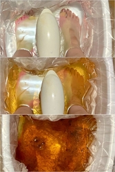 今月も先月に引...