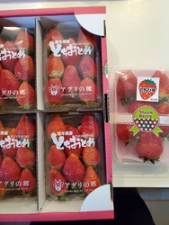 今年はいちご狩...