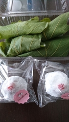 今年も柏餅を買...