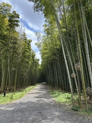 近くでランチを...