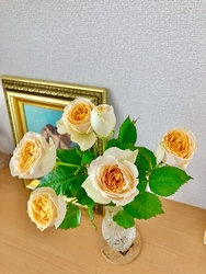 《サラ》追加購...