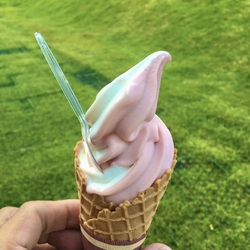 暑い日が続きま...
