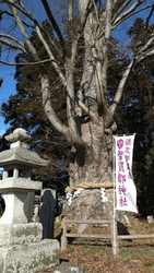 大きな大きなケ...