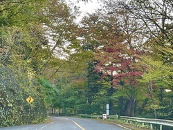 塩原バレーライ...