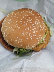 宇都宮へ行く途...