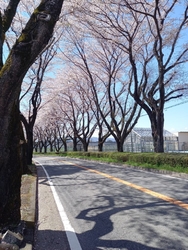 この前来たとき...