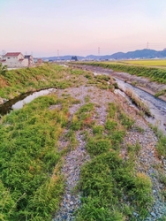 昭和34年に廃...