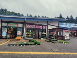 大田原名産のス...