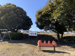 野球場がメイン...