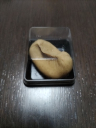 鑁阿寺で行われ...
