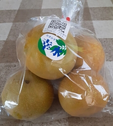 今年も梨を買い...