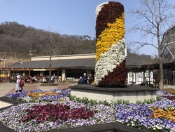 ・「どこでもドア」でお花畑にやって来た！ 村上隆 「どこでもドア」でお花畑にやってきた！ | 絵画など美術