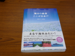 雑貨屋さん。と...