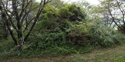 栃木市文化財の...