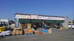 こんなに安くペ...
