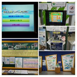 わたらせ淡水魚...