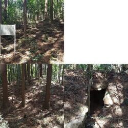 佐野市文化財の...