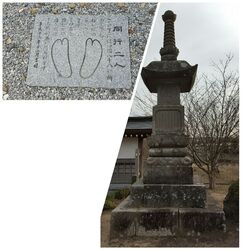 1740年建立...