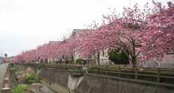 真岡市上高間木...