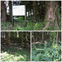 上三川町文化財...