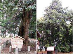 小山から栃木に...
