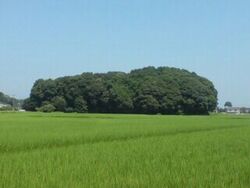 古墳は、平地に...