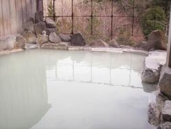 いつもは宿泊し...