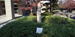 佐野市天然記念...