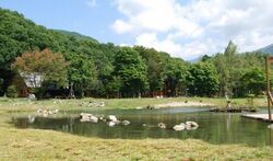 県内随一のキャ...