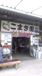 さくらんぼ狩り...