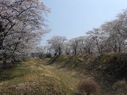 矢板市早川町の...