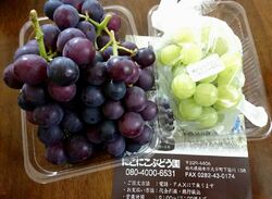 今年も伺いまし...